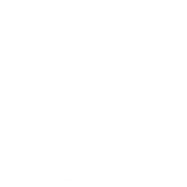 Mobility Auto Glass